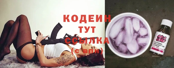 крисы Тавда