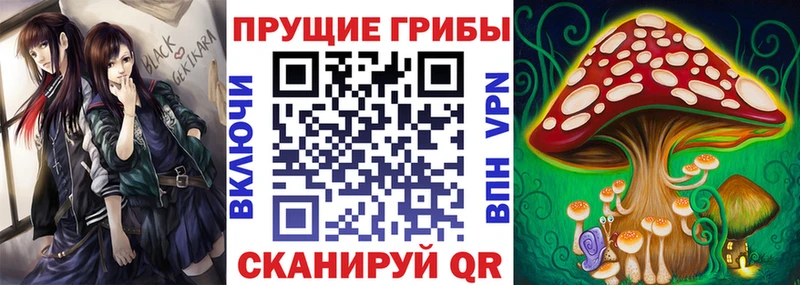 Псилоцибиновые грибы мухоморы blacksprut ССЫЛКА Мелеуз