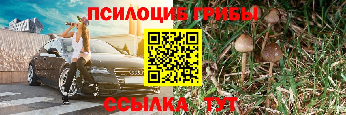 Мелеуз  Галлюциногенные грибы MAGIC MUSHROOMS  Вход с VPN 